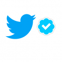 como verificar cuenta perfil twitter
