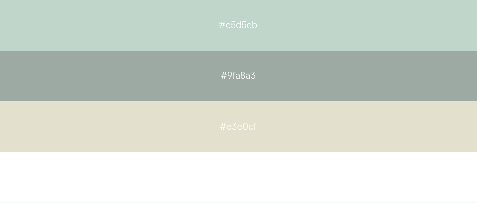 paleta color