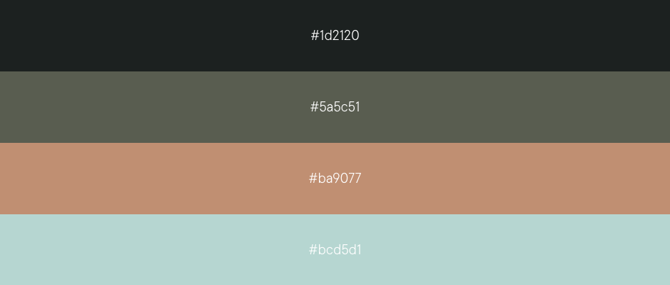paleta-color